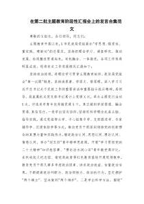 在第二批主题教育阶段性汇报会上的发言合集范文