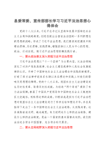 县委常委、宣传部部长学习习近平法治思想心得体会