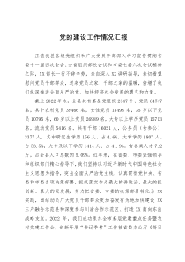 向调研组关于党的建设工作情况汇报