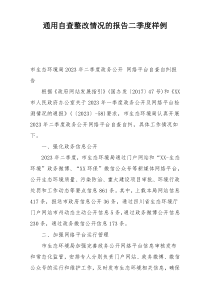 通用自查整改情况的报告二季度样例