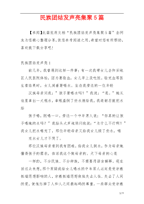 民族团结发声亮集聚5篇