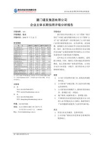 联合信用评级报告