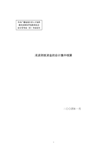 浅谈财政资金的会计集中核算