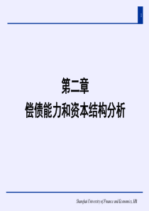 第二章偿债能力和资本结构分析_2