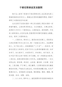 干部任职表态发言副职