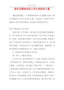 青年志愿者协会工作计划实用3篇