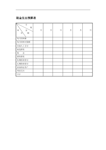 现金支出预算表