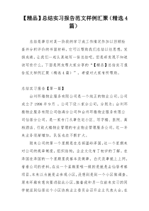 【精品】总结实习报告范文样例汇聚（精选4篇）