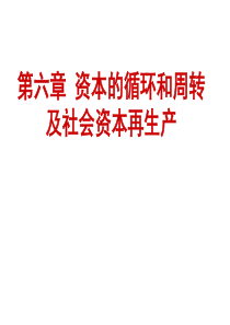 第六章资本的循环和周转及社会资本再生产