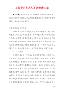 工作中的亮点与不足集聚5篇