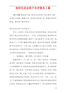 组织生活会班子自评意见3篇