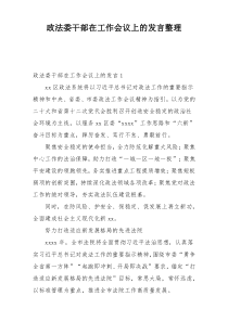 政法委干部在工作会议上的发言整理