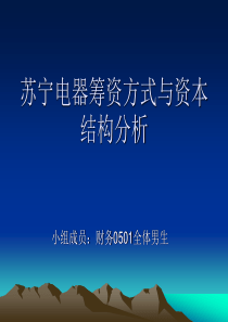 筹资方式与资本结构分析