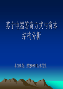 苏宁电器筹资方式与资本结构分析