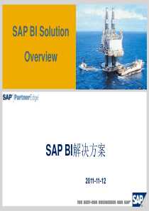 SAP-BI解决方案