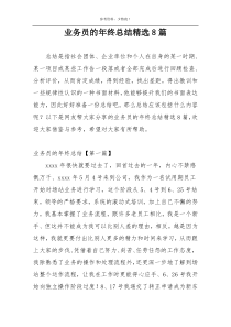 业务员的年终总结精选8篇