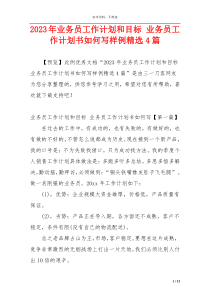 2023年业务员工作计划和目标 业务员工作计划书如何写样例精选4篇