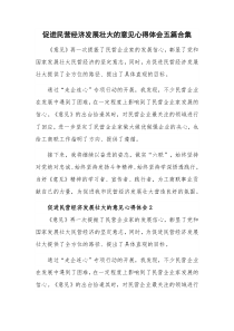 促进民营经济发展壮大的意见心得体会五篇合集