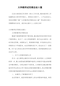 大学教师试用期总结5篇