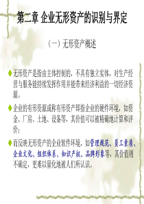 第二章企业无形资产的识别与