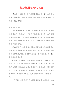 组织设置标准化3篇