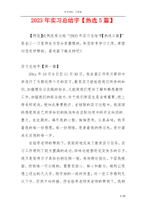 2023年实习总结字【热选5篇】