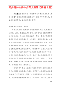 延安精神心得体会范文集聚【精编5篇】