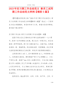 2023年实习期工作总结范文 新员工试用期工作总结范文样例【精彩5篇】