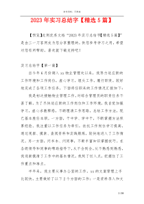 2023年实习总结字【精选5篇】