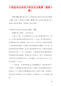 干部宣布任命班子表态发言集聚（最新4篇）