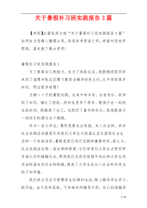 关于暑假补习班实践报告3篇