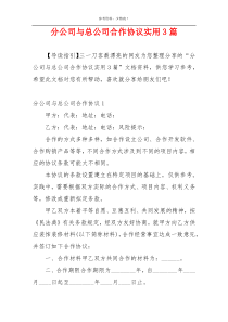 分公司与总公司合作协议实用3篇