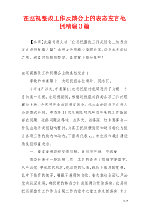 在巡视整改工作反馈会上的表态发言范例精编3篇