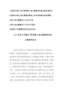 2023年深入开展学习贯彻第二批主题教育实施方案、动员部署讲话、个人学习计划、计划计划表、应知应