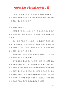 两新党建调研报告范例精编3篇