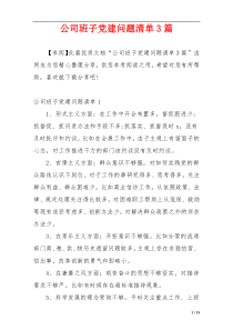 公司班子党建问题清单3篇