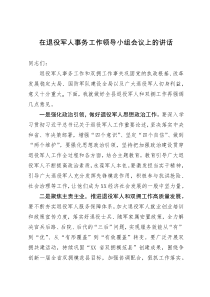 在退役军人事务工作领导小组会议上的讲话 (2)