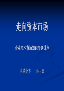 走向资本市场(蓝海东营企业家讲座)