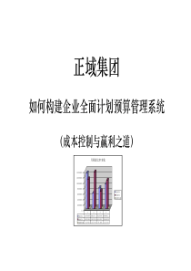 正域集团全面预算管理培训资料