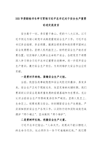 XXX市委副秘书长学习贯彻习近平总书记关于安全生产重要论述交流发言