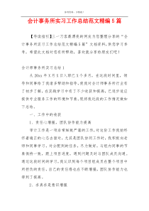 会计事务所实习工作总结范文精编5篇