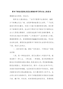 青年干部在纪委机关党支部集体学习研讨会上的发言