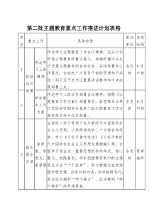 第二批主题教育重点工作推进计划表格