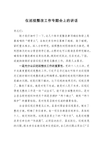 在巡视整改工作专题会上的讲话