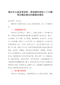 理论中心组发言材料：贯彻落实党的二十大精神关键在解决问题推动落实