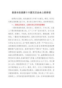 县县长在县委十六届五次全会上的讲话