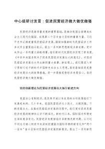 中心组研讨发言：促进民营经济做大做优做强