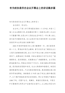 有关政协委员在会议开幕会上的讲话稿多篇