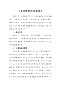 XX镇档案管理工作自查情况报告