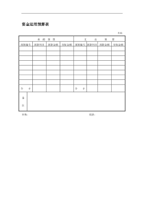 资金运用预算表